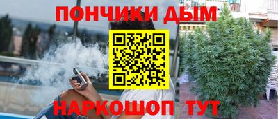 шишки Бийск