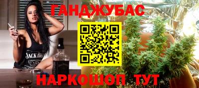 шишки Бийск