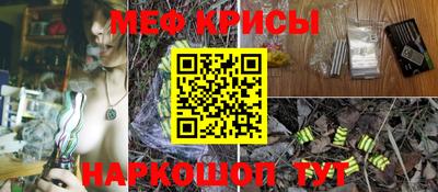 шишки Бийск