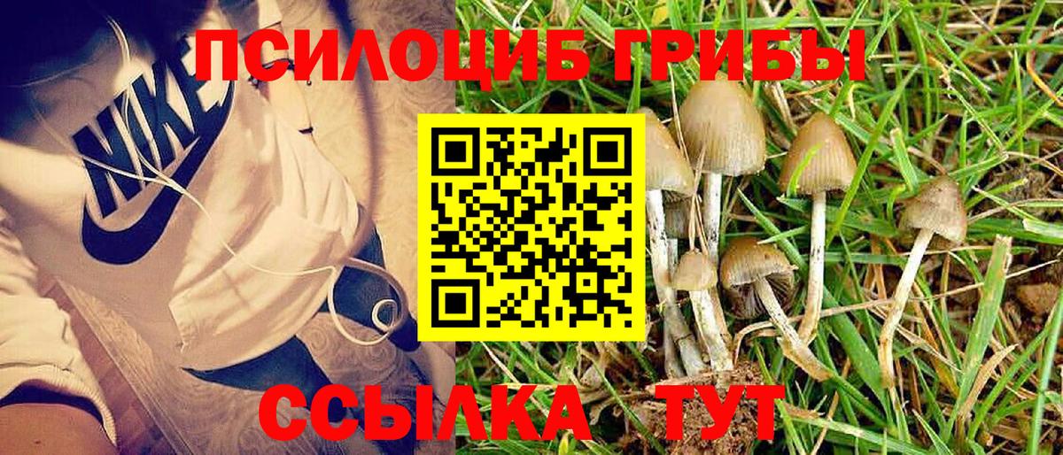 Галлюциногенные грибы GOLDEN TEACHER Кизляр