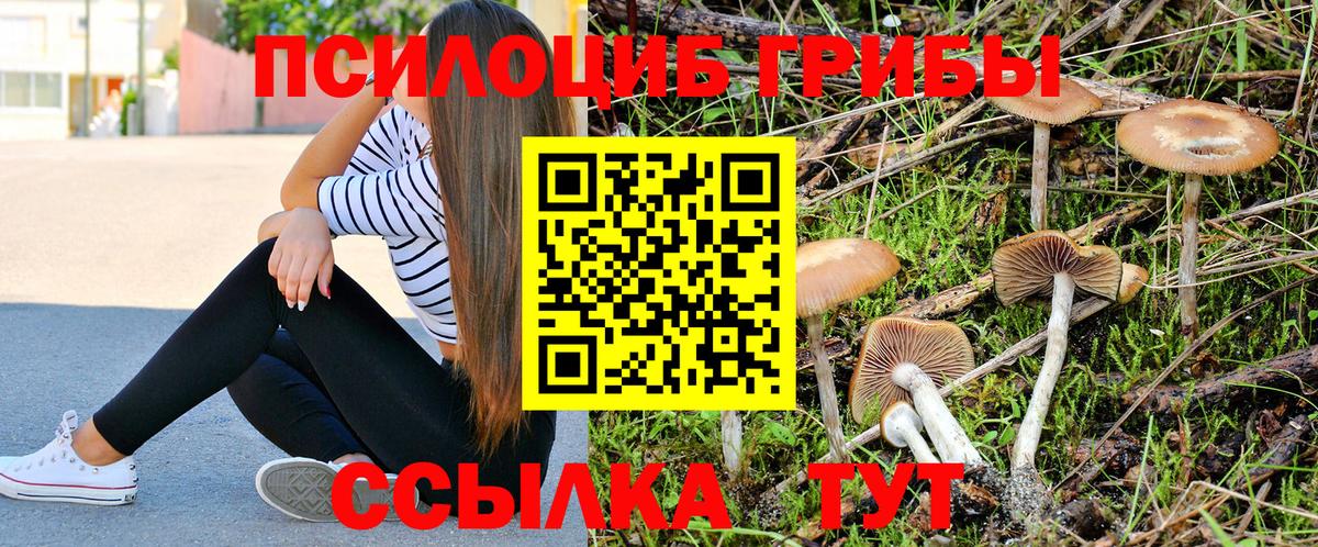 Кизляр  Псилоцибиновые грибы мухоморы  Вход с VPN  Псилоцибиновые грибы мицелий 